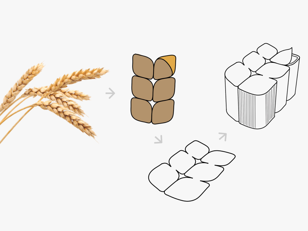 Packaging Fontaneda Galetes - Packaging